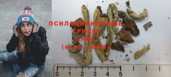ПСИЛОЦИБИНОВЫЕ ГРИБЫ Абдулино