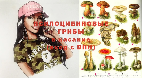 амф Абаза