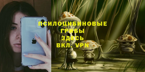 ПСИЛОЦИБИНОВЫЕ ГРИБЫ Абдулино